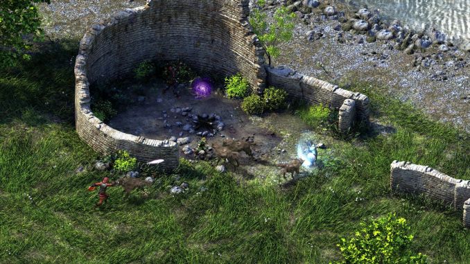Pillars of Eternity: Definitive Edition screenshot 2