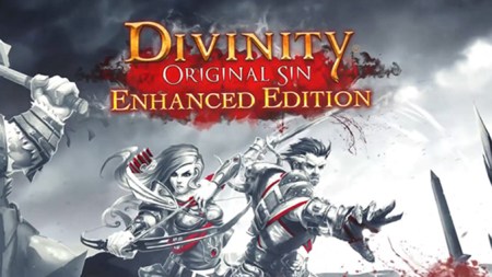 Divinity: Original Sin (Enhanced Edition)